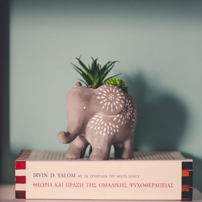 Μάρα Κούρτογλου Ψυχολόγος στον Κορυδαλλό